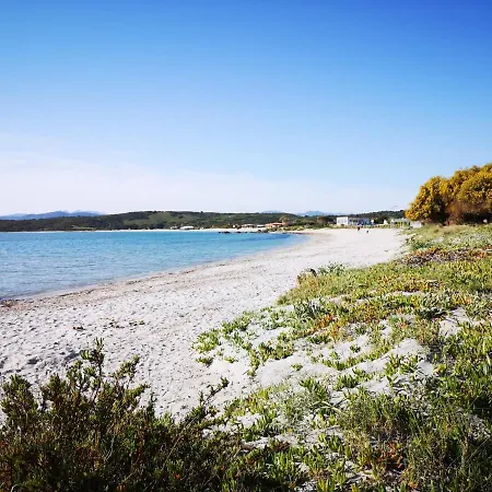 아파트 Insardinia House Trilocale A 200mt Dalla 올비아