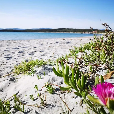 Insardinia House Trilocale A 200mt Dalla 아파트