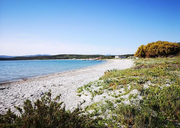 Apartment Insardinia House Trilocale A 200mt Dalla Olbia